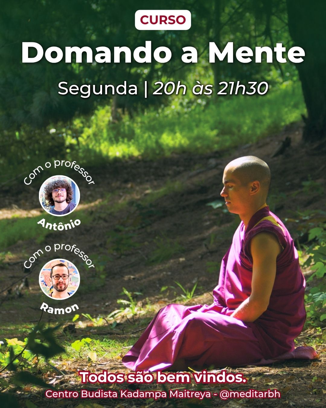 Curso: Domando a Mente
